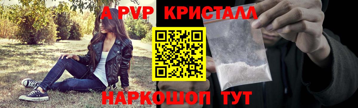 A PVP СК Обь