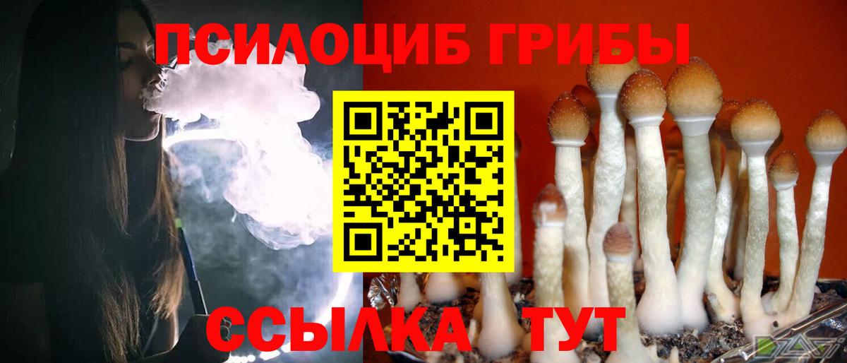 Обь  Галлюциногенные грибы мицелий  Псилоцибиновые грибы прущие грибы  Вход с VPN 