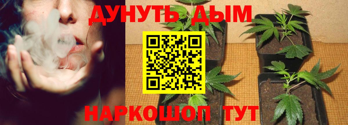 Шишки марихуана марихуана  Марихуана THC 21%  Вход с VPN  Обь 